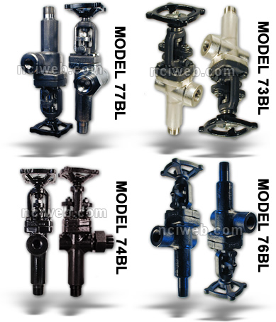 Jerguson Valves